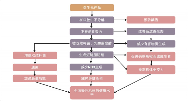 行業變革之際，AG廳創園益生元嶄露頭角