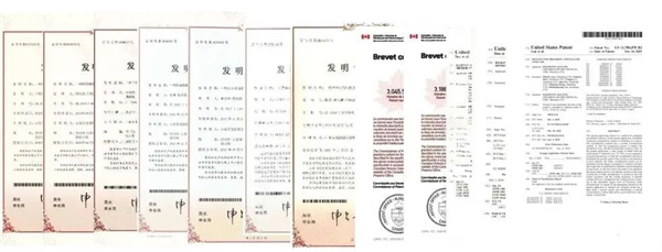 AG廳創園：穩健前行，開拓甜蜜新賽道